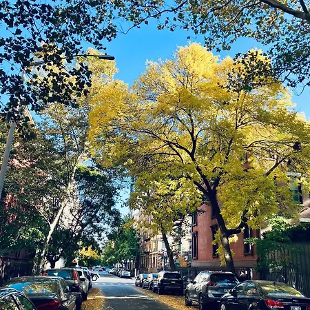 Harlem Grand-2