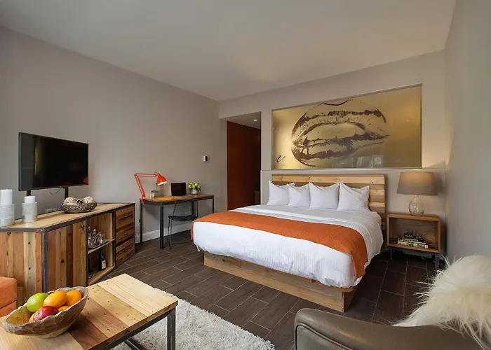 Dog friendly hotels Ravel Trademark Collection By Wyndham